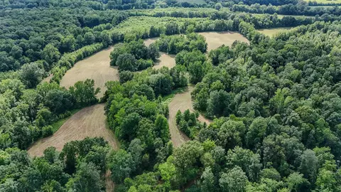 835 Mount Zion Rd, Decaturville, TN 38329