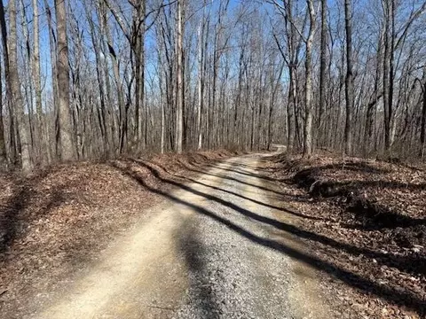 71 Sunbeam Lake Loop Rd, Dunlap, TN 37327 photo 11