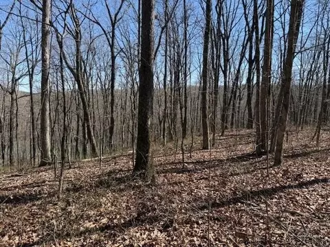 71 Sunbeam Lake Loop Rd, Dunlap, TN 37327 photo 4