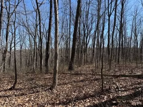 71 Sunbeam Lake Loop Rd, Dunlap, TN 37327 photo 3