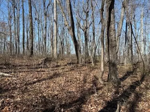 71 Sunbeam Lake Loop Rd, Dunlap, TN 37327 photo 8