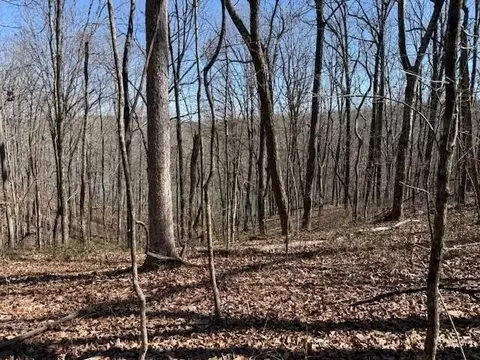 71 Sunbeam Lake Loop Rd, Dunlap, TN 37327 photo 6