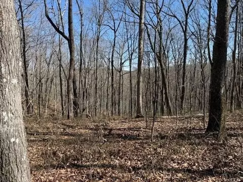 71 Sunbeam Lake Loop Rd, Dunlap, TN 37327 photo 5