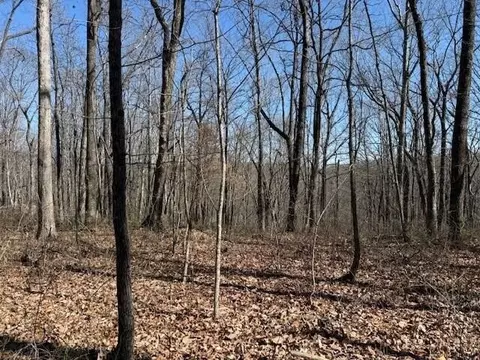 71 Sunbeam Lake Loop Rd, Dunlap, TN 37327 photo 2