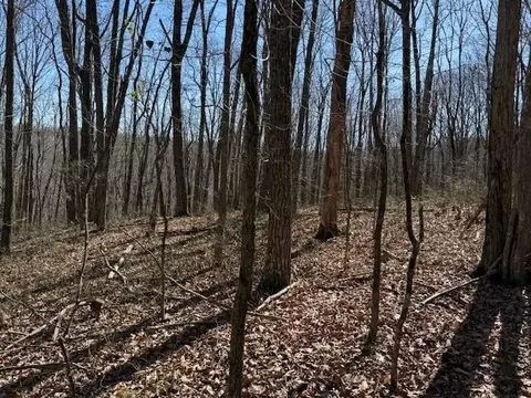 71 Sunbeam Lake Loop Rd, Dunlap, TN 37327 photo 9