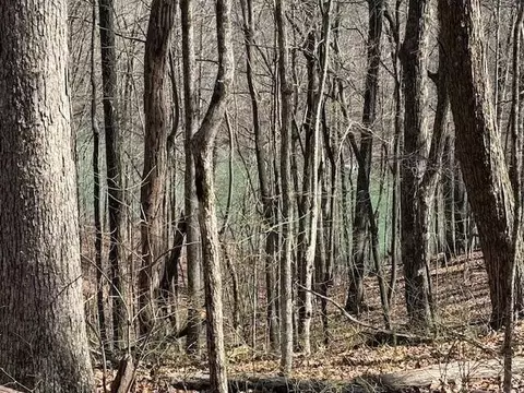 71 Sunbeam Lake Loop Rd, Dunlap, TN 37327 photo 7