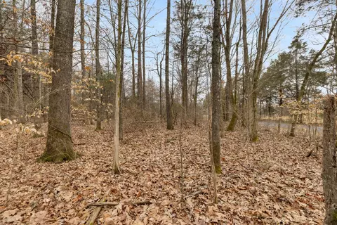 0 Gray Rd, White Bluff, TN 37187 photo 3