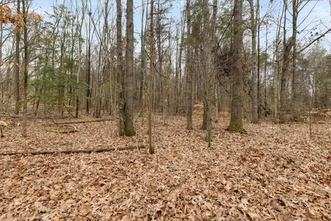 0 Gray Rd, White Bluff, TN 37187 photo 4
