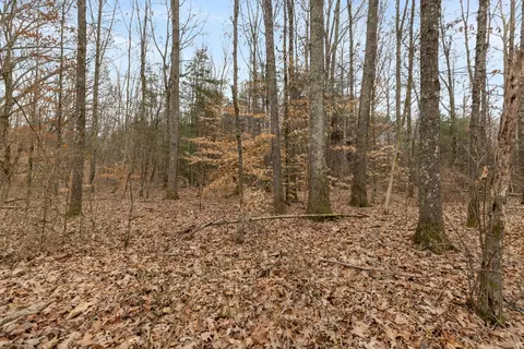 0 Gray Rd, White Bluff, TN 37187