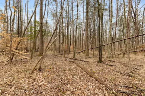 0 Gray Rd, White Bluff, TN 37187 photo 7