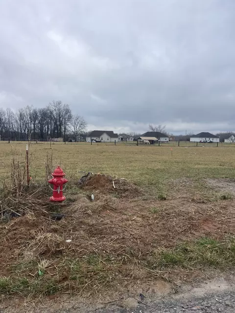 4 Mcnabb Ln, Lafayette, TN 37083 photo 4