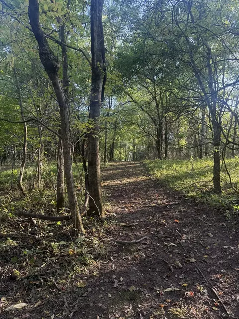 0 Rock Springs Rd, Columbia, TN 38401