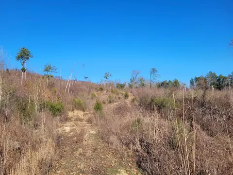 1 Whiteoak Rd, Clifton, TN 38425