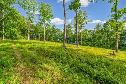 164 Lewis Cir, Dover, TN 37058