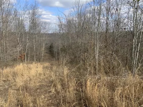 0 Topside Dr, Dover, TN 37058 photo 23