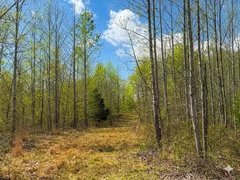 0 Topside Dr, Dover, TN 37058 photo 9