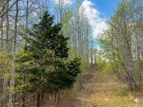 0 Topside Dr, Dover, TN 37058 photo 7