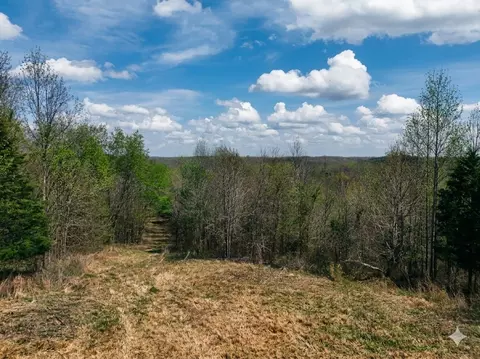 0 Topside Dr, Dover, TN 37058 photo 8
