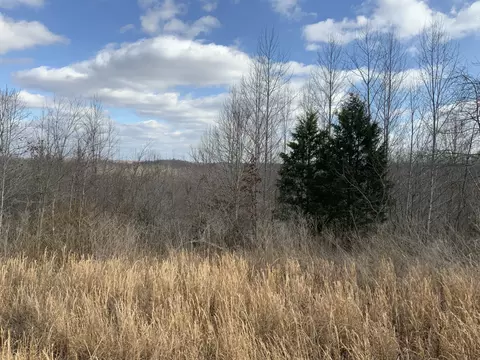 0 Topside Dr, Dover, TN 37058 photo 20
