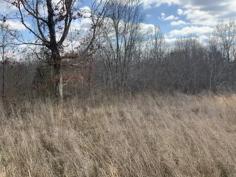 0 Topside Dr, Dover, TN 37058 photo 24