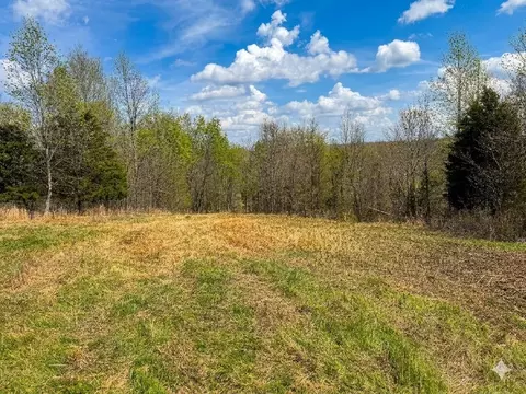 0 Topside Dr, Dover, TN 37058 photo 13