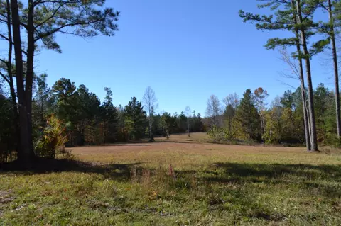 0 Whitson Hollow Rd, Red Boiling Springs, TN 37150
