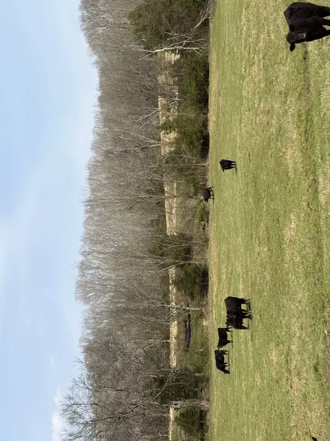 6 N Lick Creek Rd, Franklin, TN 37064