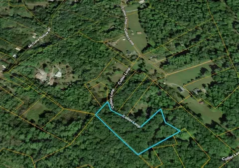 1419 Collier Loop, Dandridge, TN 37725 photo 7