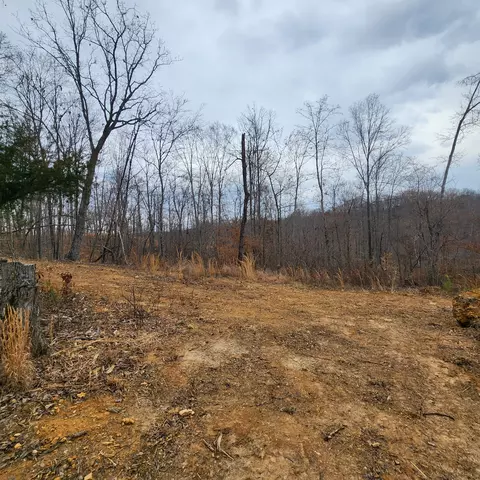 584 Back Bone Rd, Sparta, TN 38583 photo 9