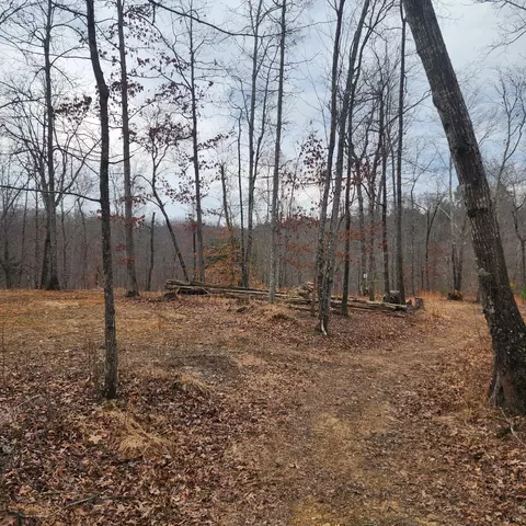 584 Back Bone Rd, Sparta, TN 38583 photo 12