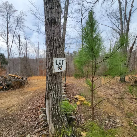584 Back Bone Rd, Sparta, TN 38583 photo 10
