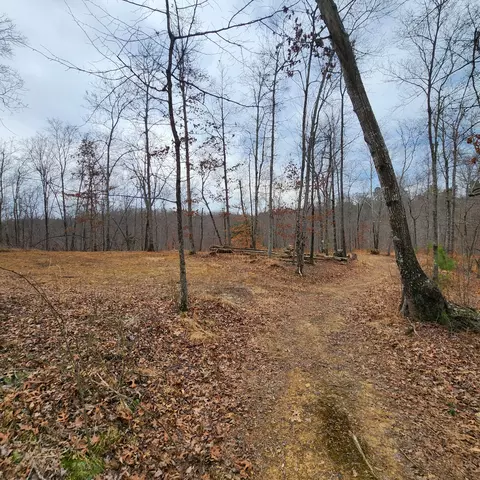 584 Back Bone Rd, Sparta, TN 38583 photo 11
