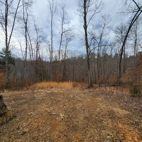 584 Back Bone Rd, Sparta, TN 38583 photo 8