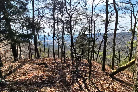 9 Lodge Point Rd, South Pittsburg, TN 37380