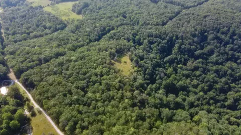 0 Partin Farm Rd, Tracy City, TN 37387