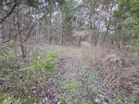 0 Woodmore Hollow Ln, Hartsville, TN 37074