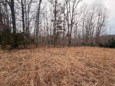 4 Blue Bird Ct, Nunnelly, TN 37137