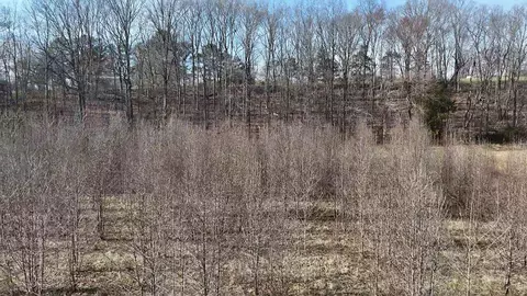 Other - 210 Donegan Crossing Rd, Dickson, TN 37055 photo 8 of 8