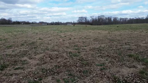 0 Old Baxter Rd, Silver Point, TN 38582 photo 5