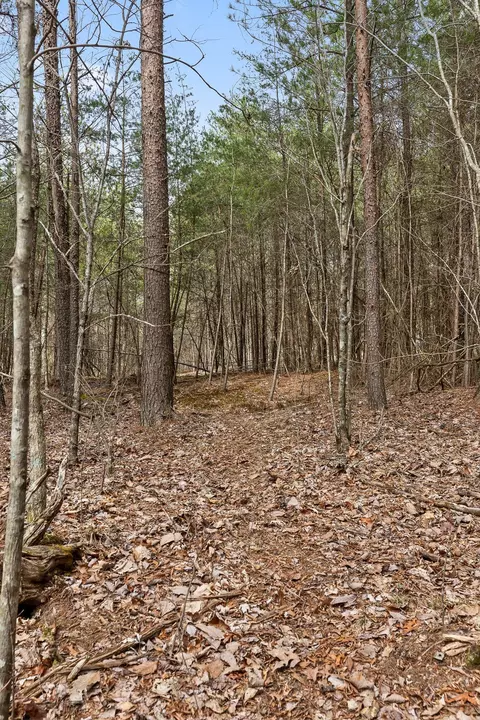 0 Crockett Pt, Sequatchie, TN 37374 photo 16