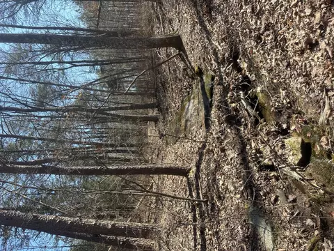 0 Crockett Pt, Sequatchie, TN 37374 photo 52