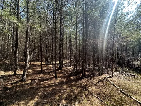 0 Crockett Pt, Sequatchie, TN 37374 photo 47