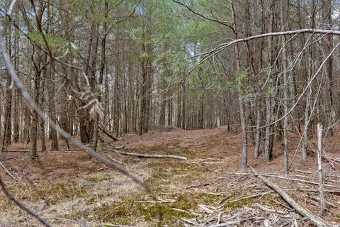 0 Crockett Pt, Sequatchie, TN 37374 photo 19