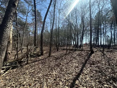 0 Crockett Pt, Sequatchie, TN 37374 photo 49