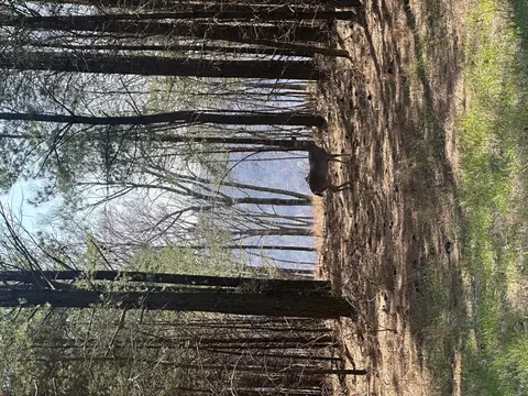 0 Crockett Pt, Sequatchie, TN 37374 photo 56
