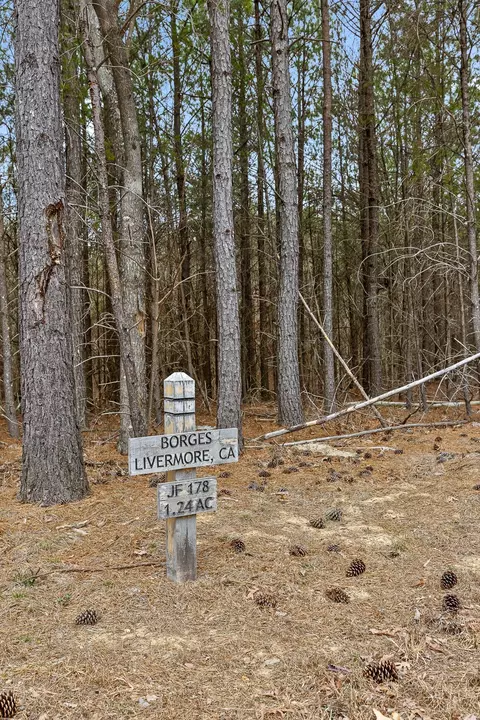 0 Crockett Pt, Sequatchie, TN 37374 photo 9