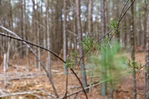 0 Crockett Pt, Sequatchie, TN 37374 photo 18