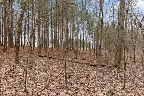 0 Crockett Pt, Sequatchie, TN 37374 photo 14