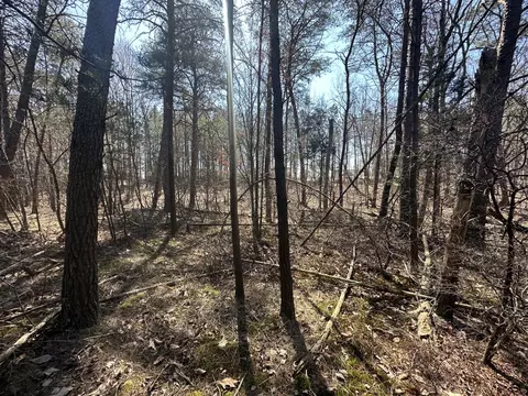 0 Crockett Pt, Sequatchie, TN 37374 photo 44