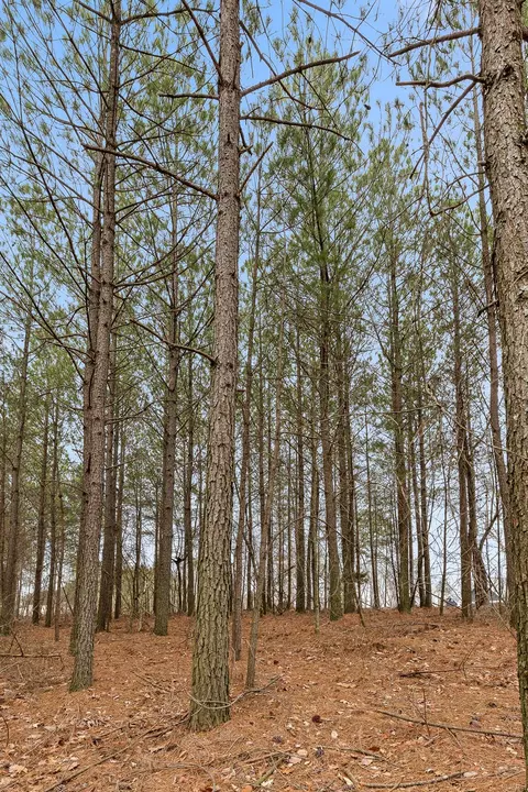 0 Crockett Pt, Sequatchie, TN 37374 photo 13